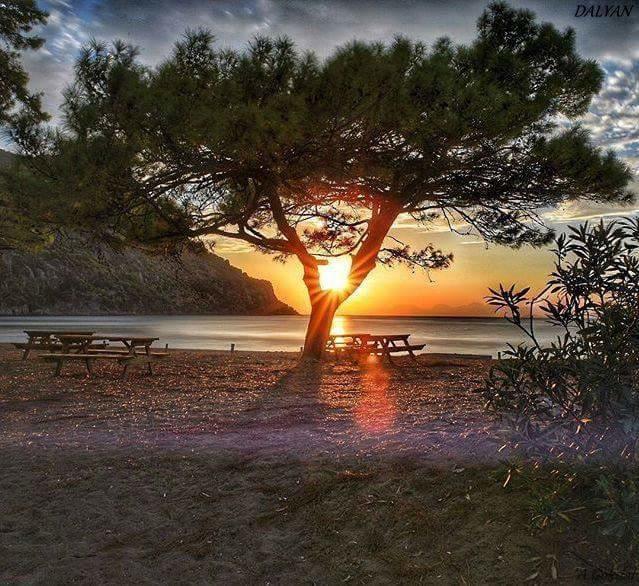 Sirius Hotel Dalyan Zewnętrze zdjęcie