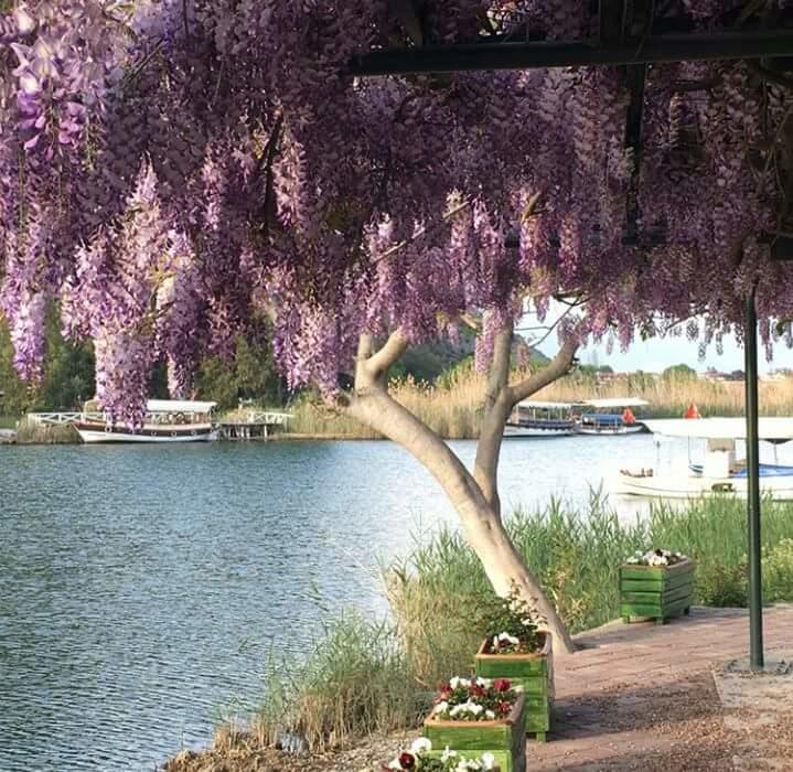 Sirius Hotel Dalyan Zewnętrze zdjęcie